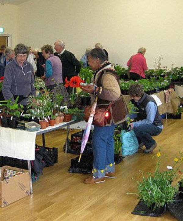 Juliotter Garden Club Plant Sale<br />
